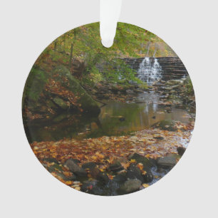 Adorno Cascada de otoño y arroyo Pensilvania Naturaleza