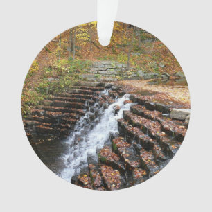 Adorno Cascada en Laurel Hill State Park II