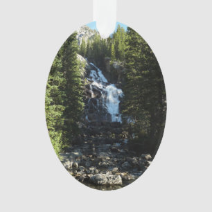 Adorno Cascada Oculta en el Parque Nacional Grand Teton