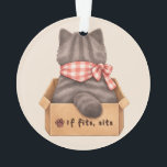 Adorno Cat in The Box<br><div class="desc">Fluffy grey cat sitting comfortably inside a cardboard box. The txt "If fits,  sits" is expressing the cat's innate behavioral rule.</div>