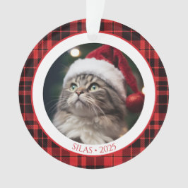 Adorno Cat Lover Pet Christmas Photo Ornament with Year