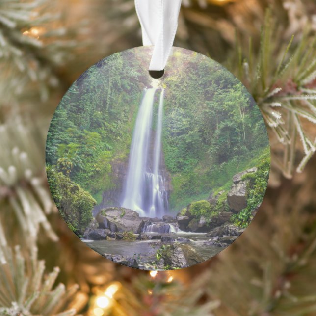 Adorno Cataratas | Bali, Indonesia (Árbol)