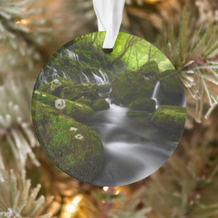 Adorno Cataratas Cataratas de Satoyama Kisakata