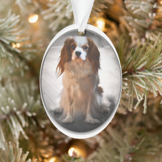 Adorno Cavalier King Charles Spaniel (Árbol)