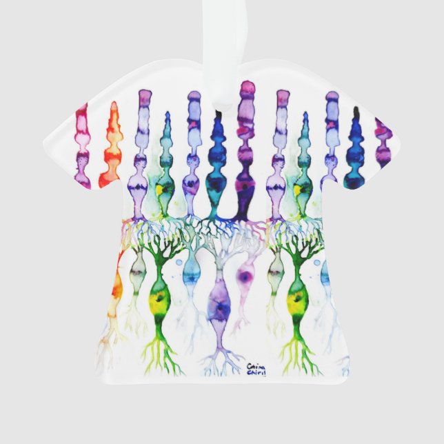 Adorno Células de cono células de la vara y neuronas bipo (Anverso)