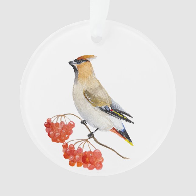 Adorno Cepillo de aves de la selva acuarela (Anverso)