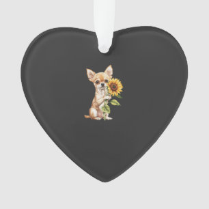Adorno Chihuahua