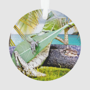 Adorno Chillin' Lizzard