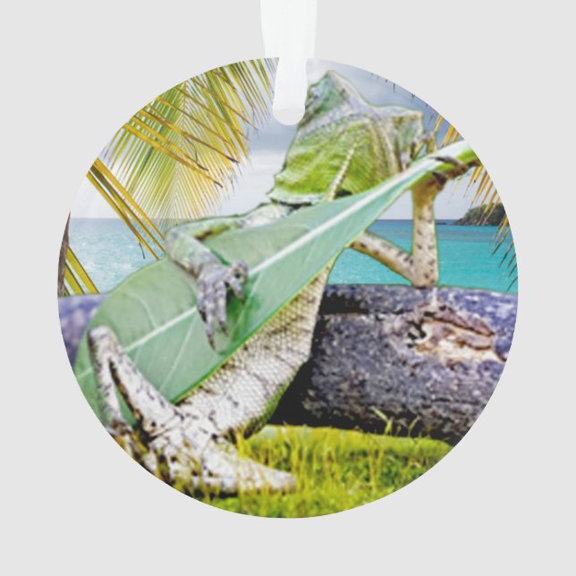 Adorno Chillin' Lizzard (Reverso)