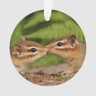 Adorno Chipmunks lindos del bebé que se besan