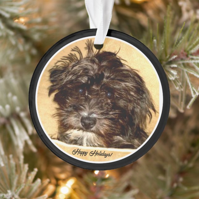 Adorno Círculo acrílico de Schnoodle (Árbol)
