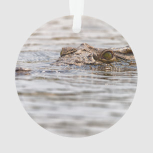 Adorno Cocodrilo del Nilo