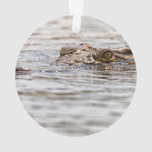 Adorno Cocodrilo del Nilo (Reverso)