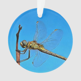 Adorno Colgar Sobre La Dragonfly Artística Contra El Azul