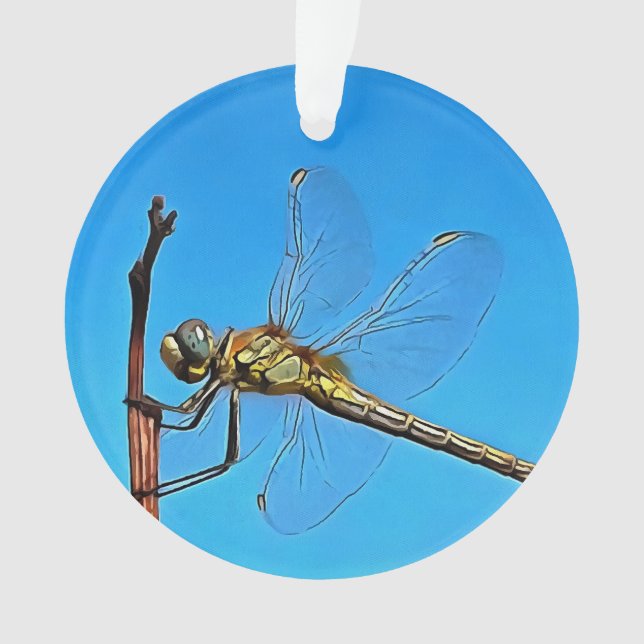 Adorno Colgar Sobre La Dragonfly Artística Contra El Azul (Anverso)
