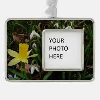 Adorno Colirio y floral de primavera de Daffodil