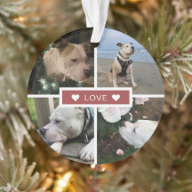 Collage de fotos de simpatía modernas para mascota