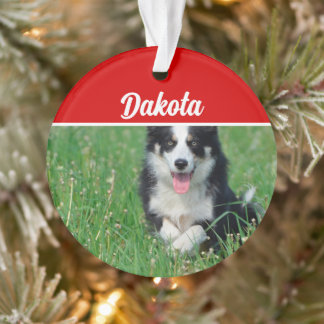 Adorno Collie de borde con Navidades de nombre y foto