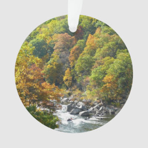 Adorno Colorido de Otoño en Ohiopyle State Park