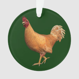 Adorno Colorido Naranja Rooster