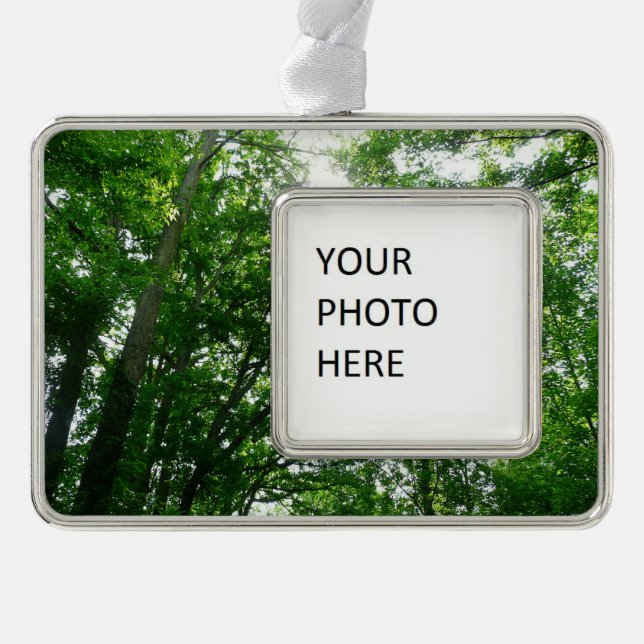 Adorno Con Marco Buscando árboles de verano (Anverso)