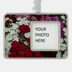 Adorno Con Marco Floral blanca, rosa y roja de Dianthus