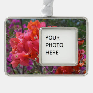 Adorno Con Marco Isla Tropical Rosa Bougainvillea Floral