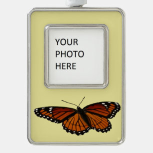 Adorno Con Marco Mariposa Viceroy Hermosa Fotografía de la Naturale