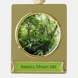 Adorno Con Rótulo Dorado Bosque lluvioso dominicano I Naturaleza tropical v