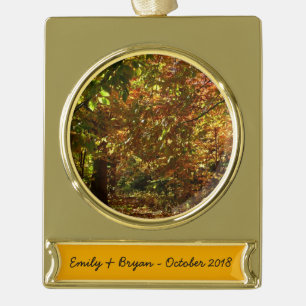 Adorno Con Rótulo Dorado Dosel de Hojas de Otoño II Fotografía de Otoño Ama
