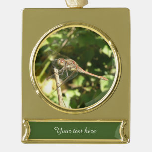 Adorno Con Rótulo Dorado Dragonfly sobre un ornamento de Personalizado de p