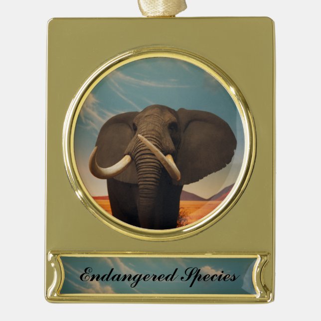 Adorno Con Rótulo Dorado Estatura majestuosa (Anverso)