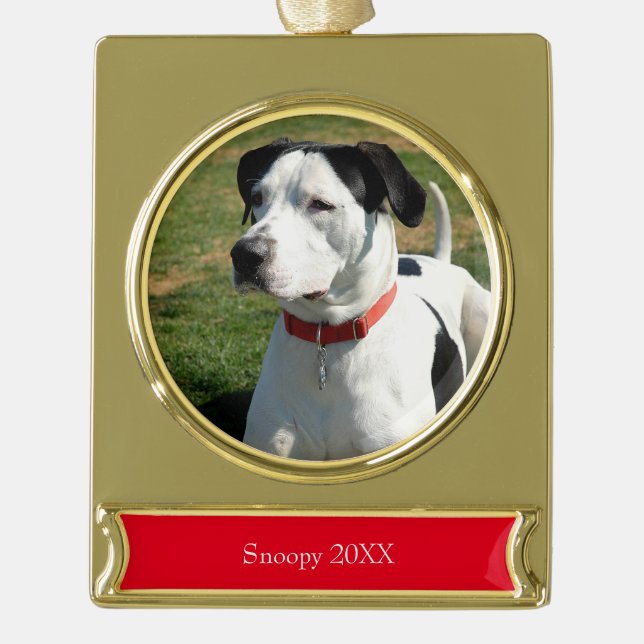 Adorno Con Rótulo Dorado Fotografía de perro Nombre Rojo Cute Navidades sim (Anverso)