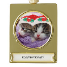 Gatitos de vacaciones con el nombre de familia de 