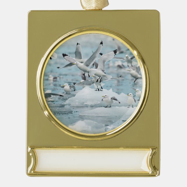 Adorno Con Rótulo Dorado Kittiwakes Flying (Anverso)