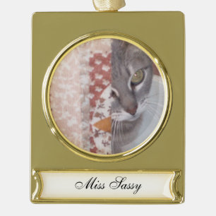 Adorno Con Rótulo Dorado Meow Cats
