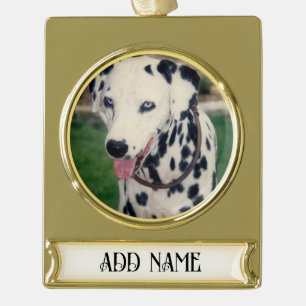 Adorno Con Rótulo Dorado Mi Mascota amigo sube tu propio Personalizado de f
