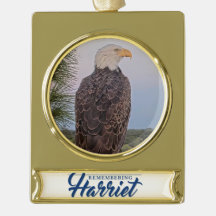 Recordando a Harriet Ornament