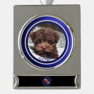 Adorno Con Rótulo Plateado Aficionado de Dallas Dog personalizable