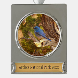 Adorno Con Rótulo Plateado Azulejo Montañés en el Parque Nacional Arches
