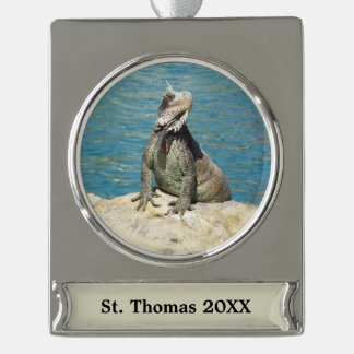 Adorno Con Rótulo Plateado Fotografía de vida salvaje tropical de Iguana en S
