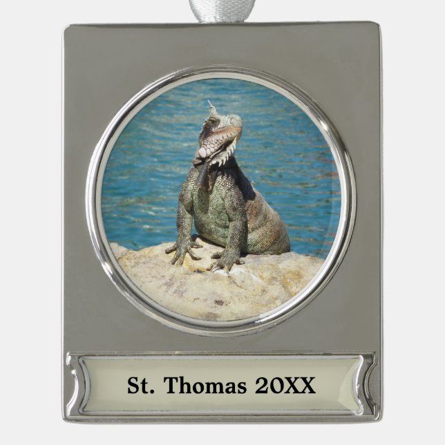 Adorno Con Rótulo Plateado Fotografía de vida salvaje tropical de Iguana en S (Anverso)