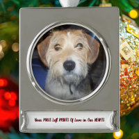 FOTOGRAFÍAS PATAS DE GRACIA Recuerdos Preciados