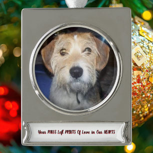 Adorno Con Rótulo Plateado FOTOS PATAS DE GRACIA Recuerdos Preciados