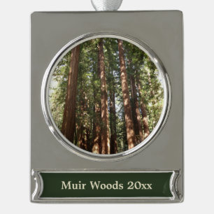 Adorno Con Rótulo Plateado Hasta Redwoods II en el Monumento Nacional Muir Wo