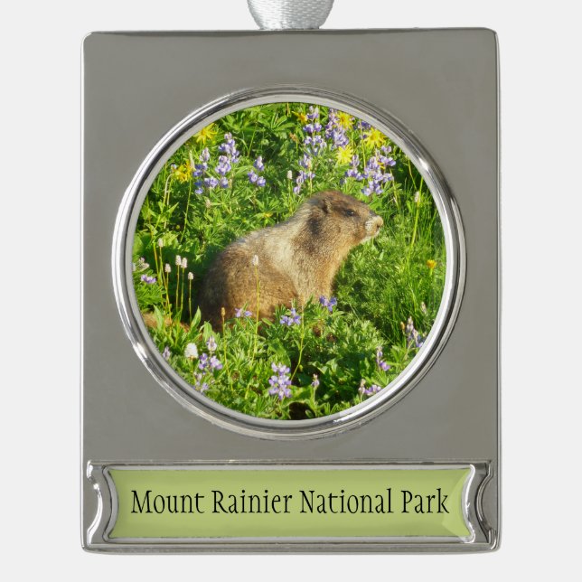 Adorno Con Rótulo Plateado Marmot en Mont Rainier Wildflowers (Anverso)