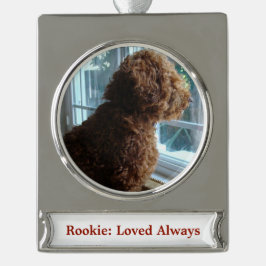 Adorno Con Rótulo Plateado Mascota/Persona (Personalización)