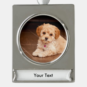 Adorno Con Rótulo Plateado Mezcla del caniche del bebé o perro de perrito
