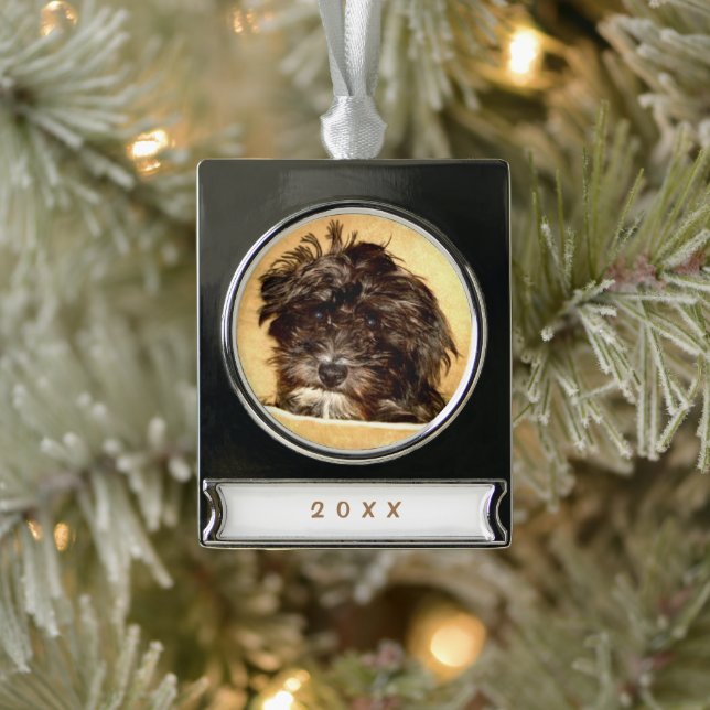 Adorno Con Rótulo Plateado Ornamento de la pancarta de Schnoodle Dog (Árbol)