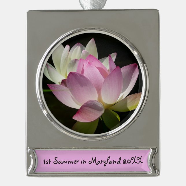 Adorno Con Rótulo Plateado Pareja de flores de Lotus II (Anverso)